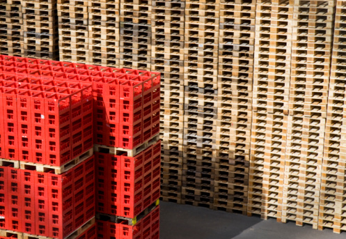 Difference Between Wood and Plastic Pallets