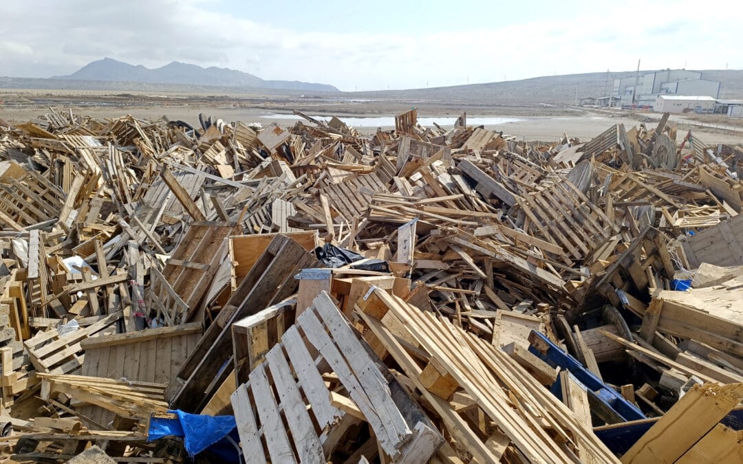 How to Properly Dispose of Old Wooden Crates and Pallets?
