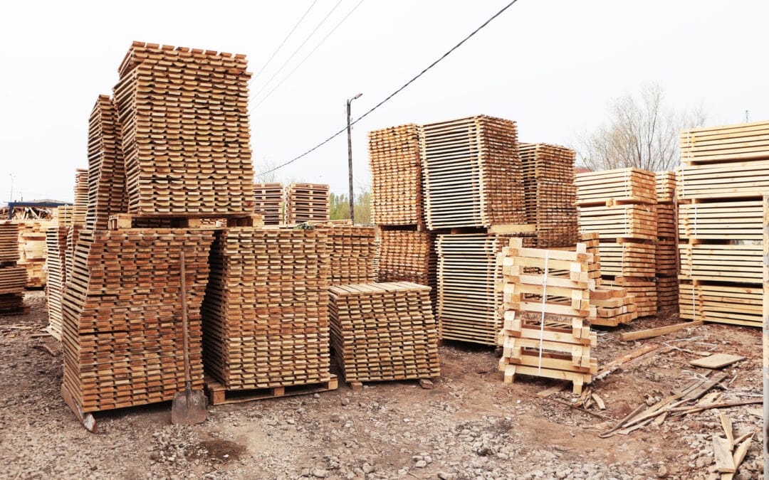 Why Businesses Still Rely on Wooden Pallets?